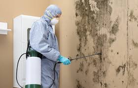 Asbestos and Lead Testing During Mold Inspection in Jackson Center, OH